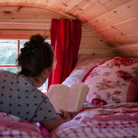 Camping-Erbenwald Neubulach 外观 照片